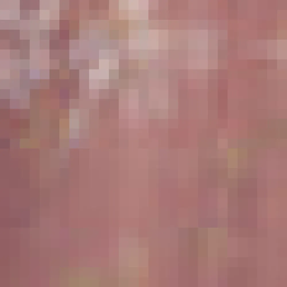 BTC Alpine Dream Dirndl Skirt Lilac Whisper