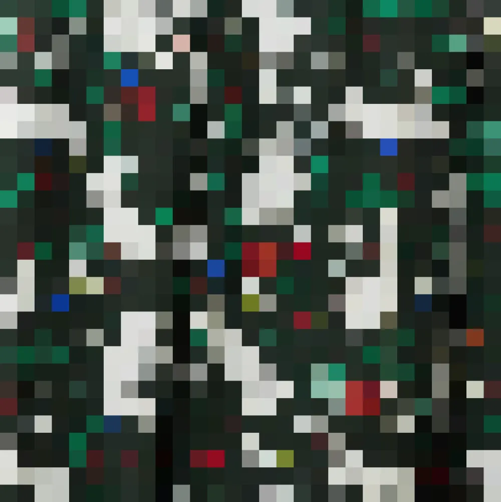 BTC Belle of the Bow Blouse Wild Whiskers Online