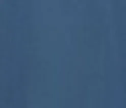 Embroidered Poodle Swing Skirt Blue Discount