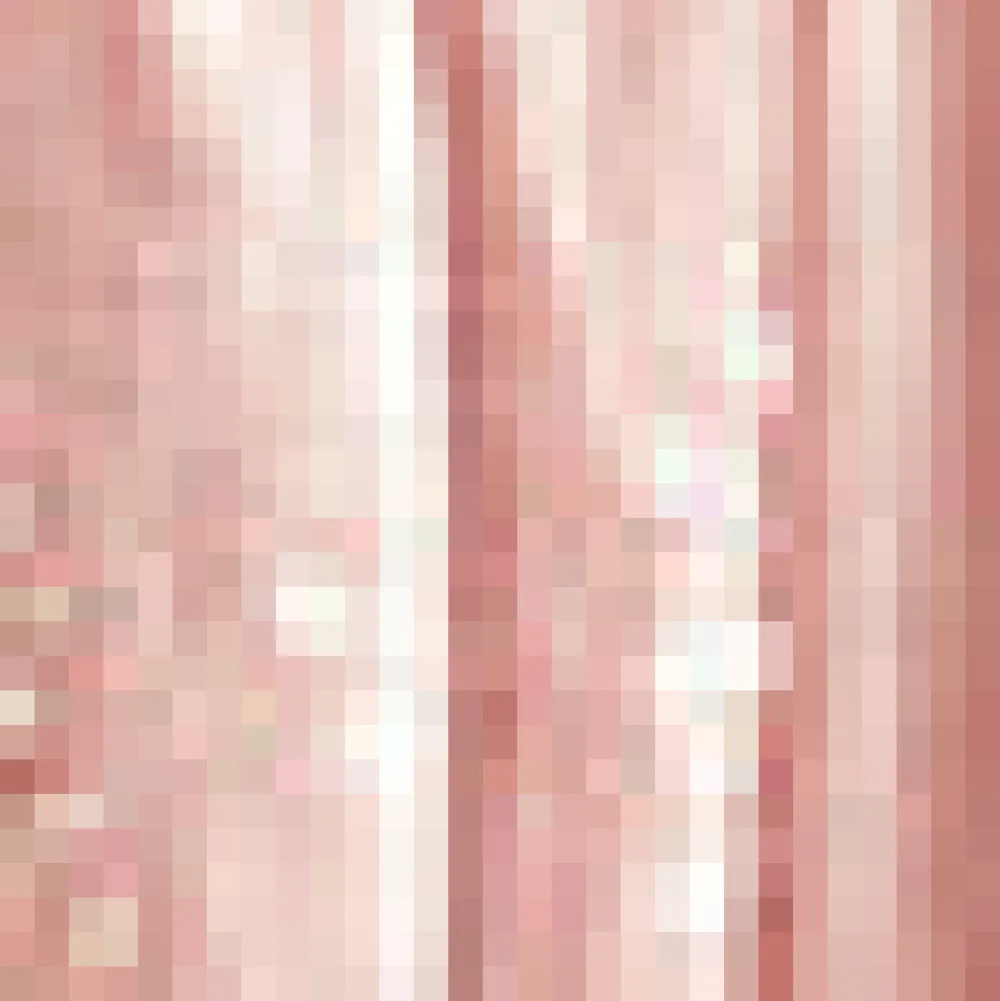 BTC Blush of Dawn Dirndl Skirt Made You Blush Best