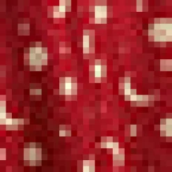 BTC Bookstore's Best Skirt Red Moon Beam Clearance