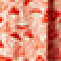 Bookstore's Best Skirt Peach Kiss Hot