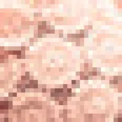 Charismatic Classic Peter Pan Top Cotton Candy Discount