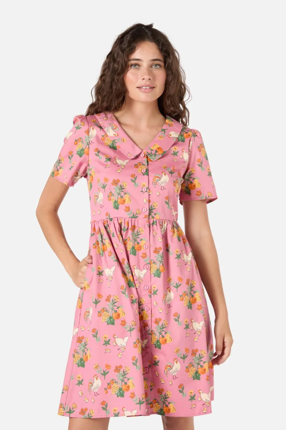 Dangerfield US Chickens Mini Shirt Dress Outlet