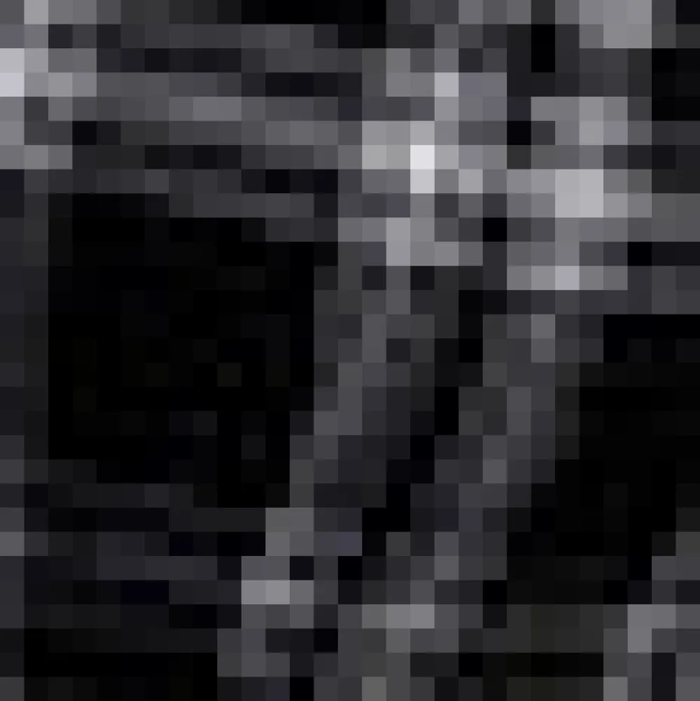 BTC Cute as a Nutmeg Fit & Flare Dress Twilight Zone Plaid Clearance