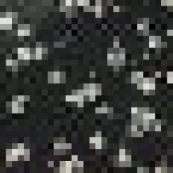 Daydreamer's Delight Button-Up Moonlit Garden Online