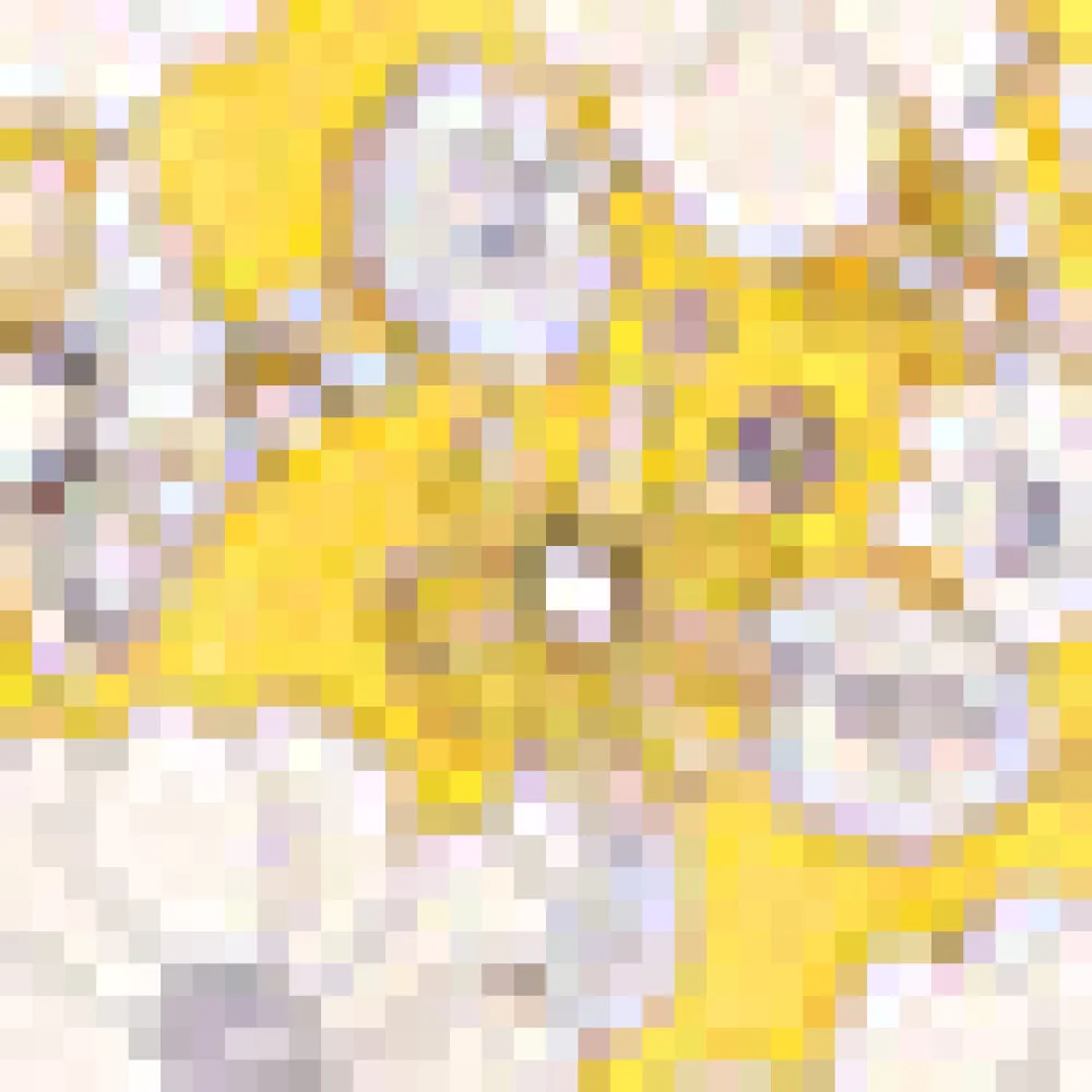 Hangzhou HS Fashion Corporation Ltd. Days in Doll Valley Tiered Skirt Yellow Floral Online