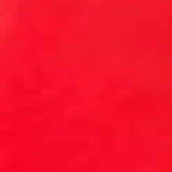 Daytrip Darling Circle Skirt Ruby Wink Discount