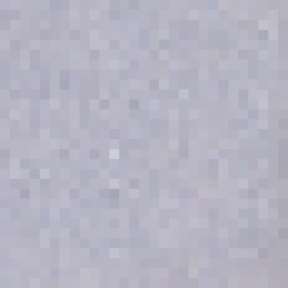 Dixie Denim Trucker Jacket New