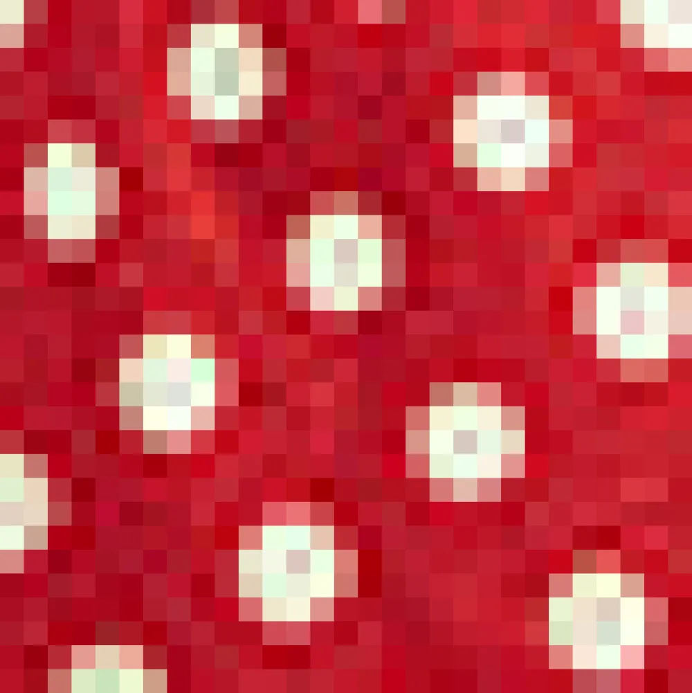 Dottie Delight Collared Dress Red Polka Dot Hot