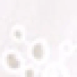 NobleControl Ltd (Amelia Rose) Dreamscape Debut Mini Dress White Discount