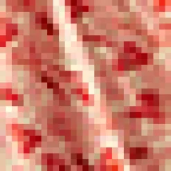 Dreamy Daze Everyday Dress Peach Kiss New