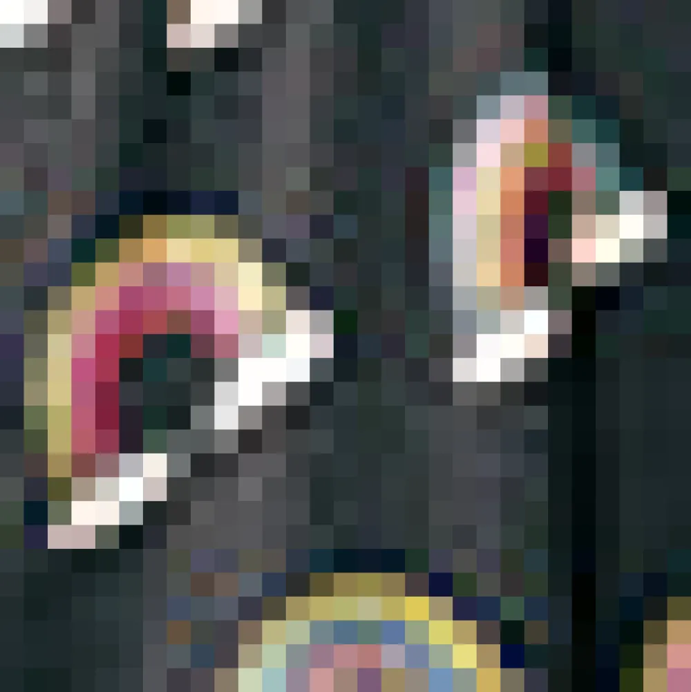 Excellence Attained Knit Midi Skirt Prism Dance Outlet