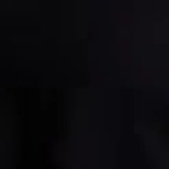 Falling for the Fall Equinox Collared Dress Bewitching Black New