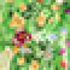 BTC Gathering Wild Flowers Dress Meadow Duckling Sale