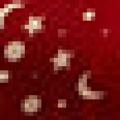 BTC Harvest Moon Melodies Collared Top Moon Beam Hot