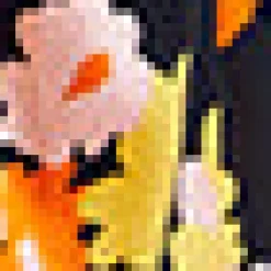 Imagine the Possibilities Skirt Black Floral New