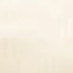 Lace Around the Edges Tee Ivory