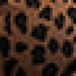 Leopard Hi-Low Empress Dress Wild Cat Online