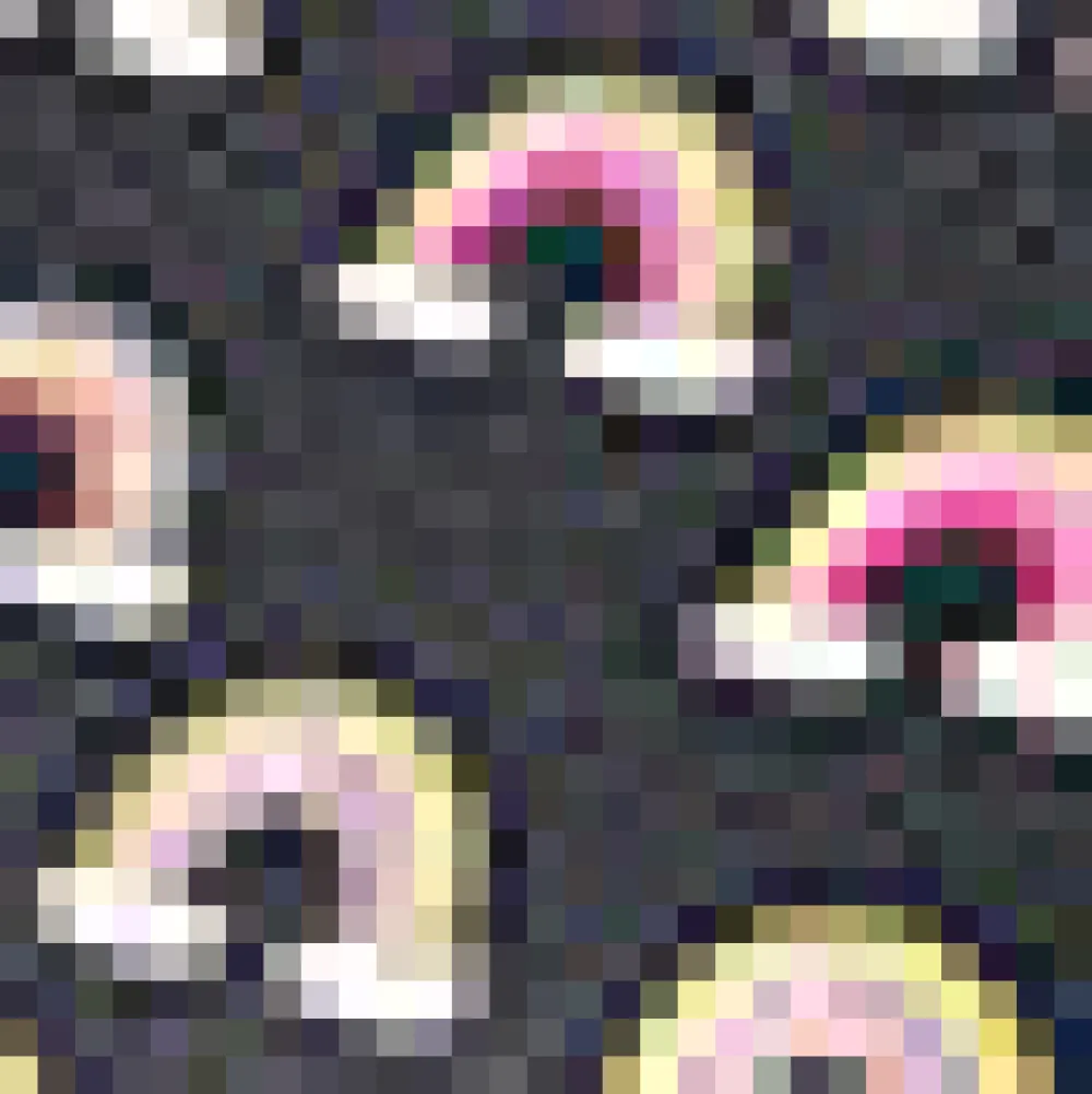 Lucky Charm Tee Rainbow Discount