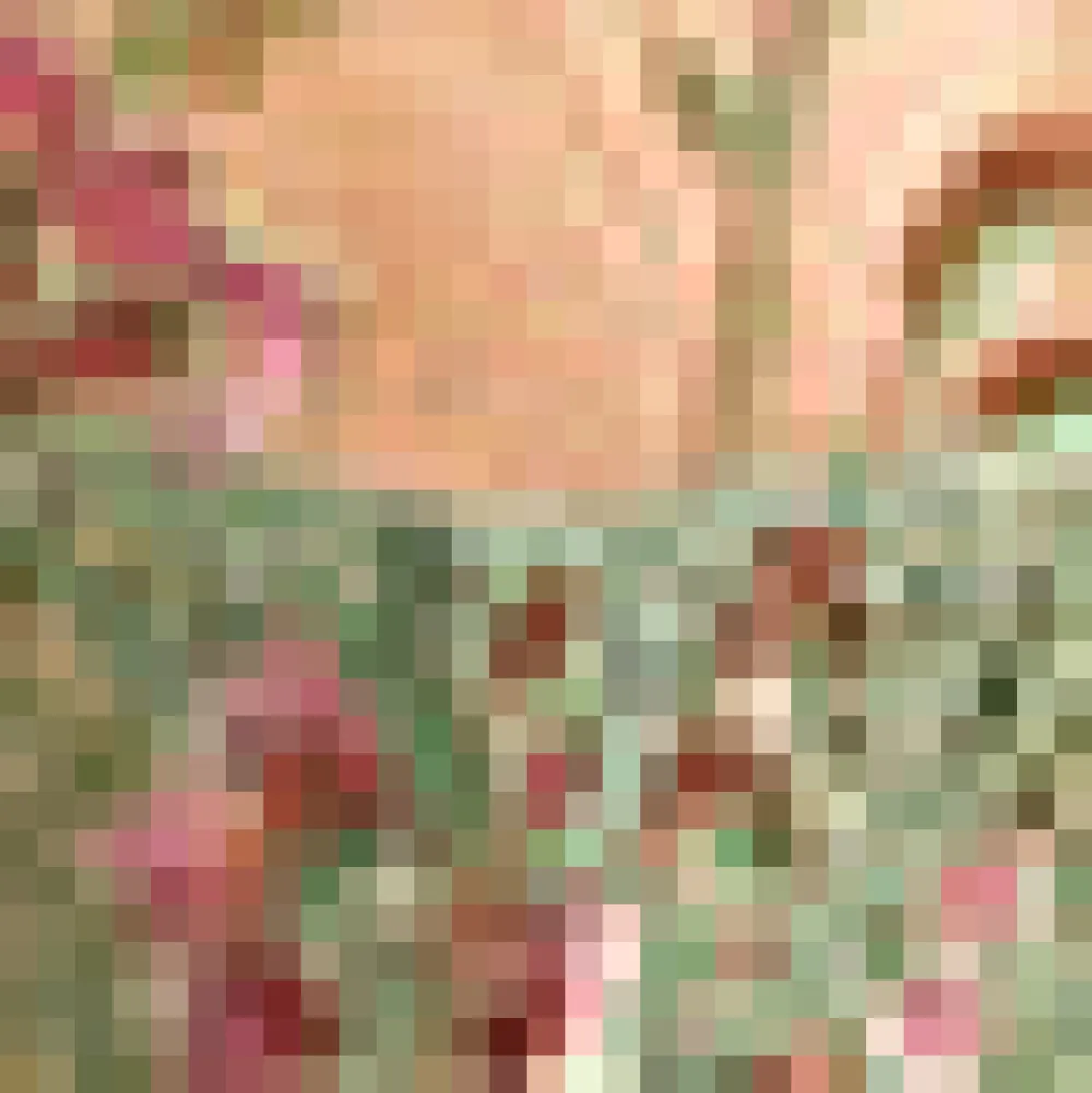 BTC Mystique Mirage Fit & Flare Dress Whispering Willow