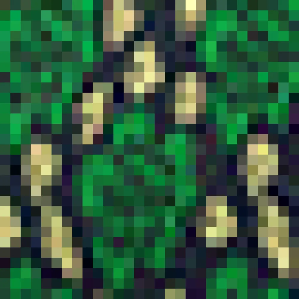 BTC Nifty Fifties Flare Collar Dress Green Gala New