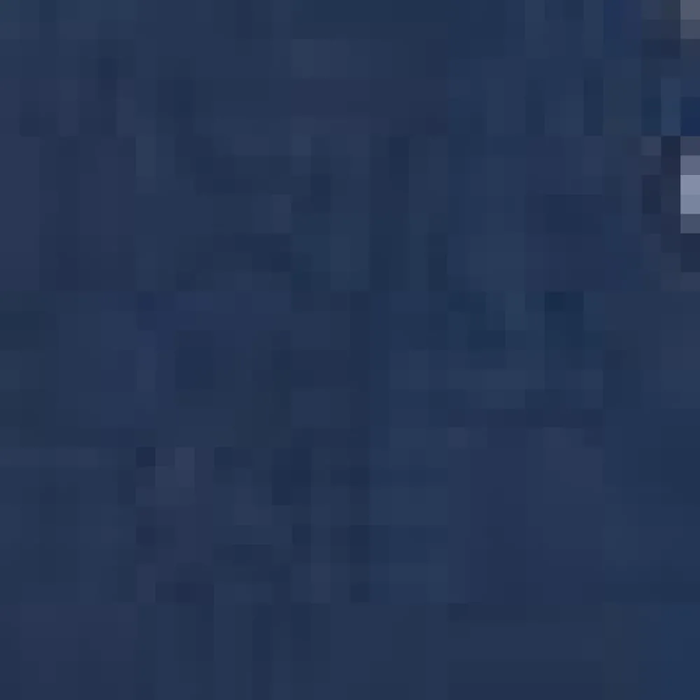 Collectif Pinch Of Style Tie-Waist Top Navy Lobsters Best