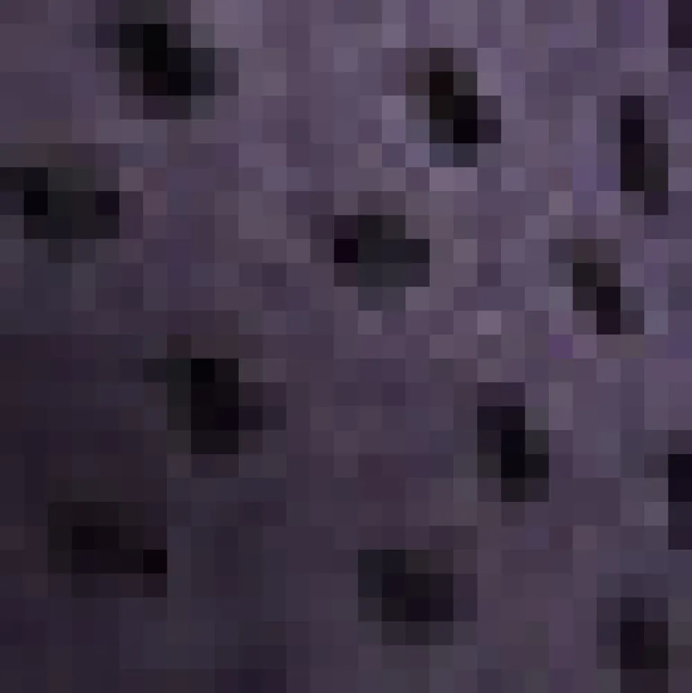 BTC Pretty at the Pumpkin Patch Shirtwaist Dress Plum Perfection Hot