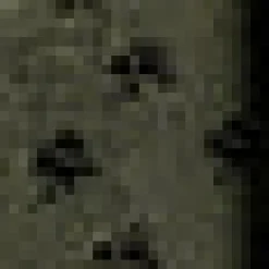 Pretty at the Pumpkin Patch Shirtwaist Dress Mossy Grove New