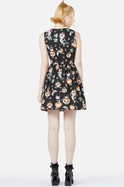 Pumpkin Patch Kitty Dress Best