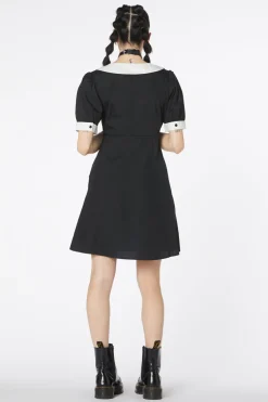 Puppy Embroidery Dress New