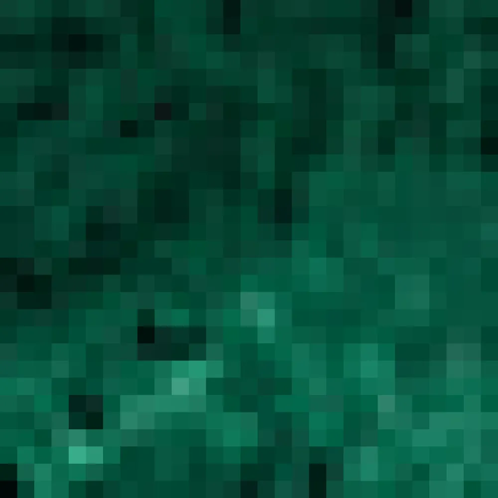 BTC Retro Radiance Fit & Flare Dress Mystic Moss New