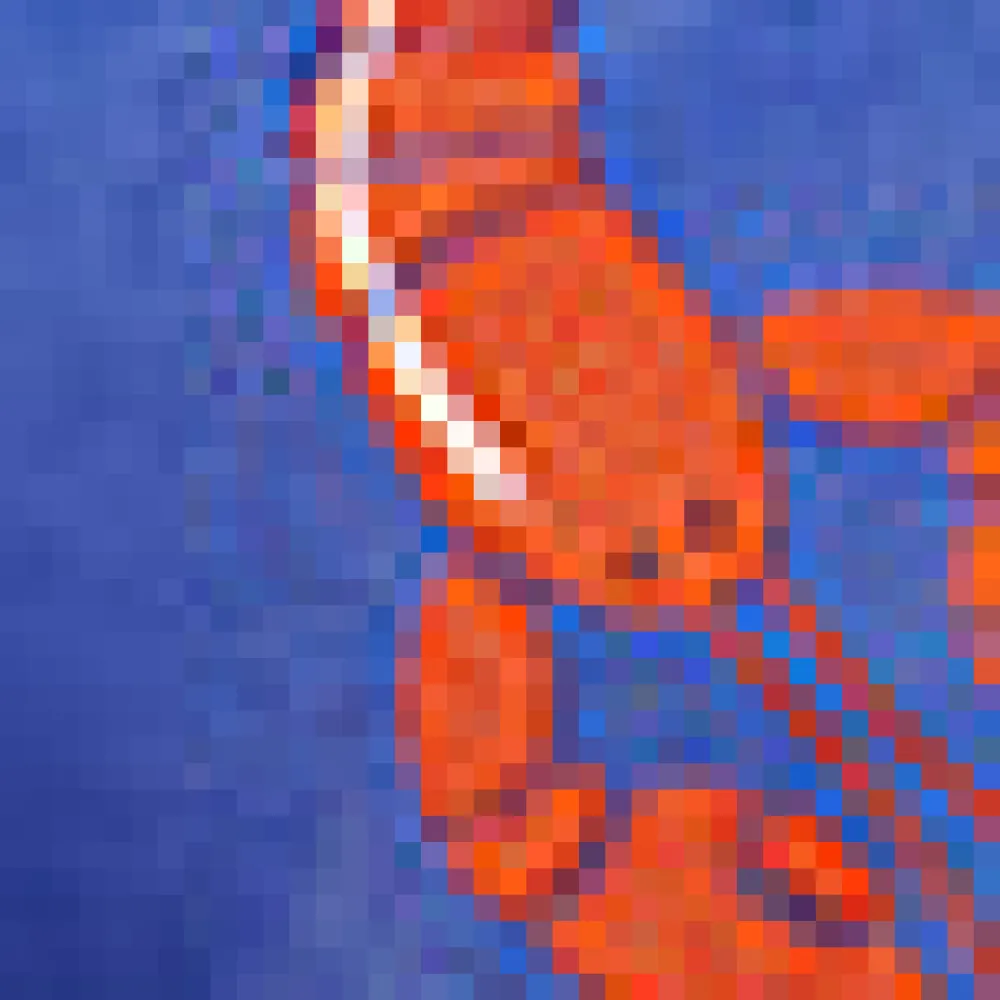 BTC Sandy Cove Shirt Rock Lobster