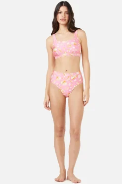 Sea Shells Bikini Bottom Outlet