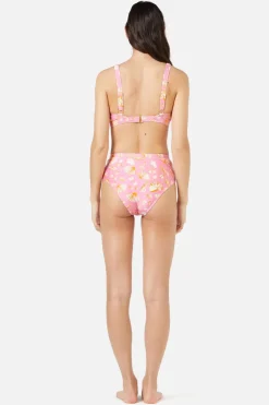 Sea Shells Bikini Bottom Outlet