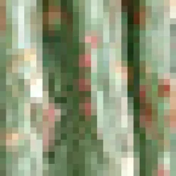 BTC Serenity Dirndl Skirt Serendipitous Sage Hot