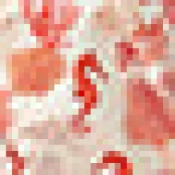 Spotlight Spark Sleeveless Shirt Horsing Around Sale