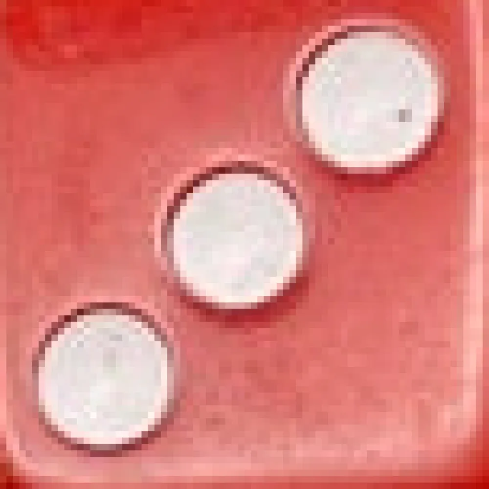 Sterling Silver Dice Hoop Earrings Red Online