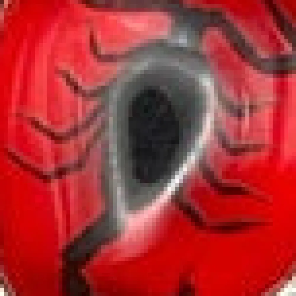 Sterling Silver Scorpion Heart Ring Red New