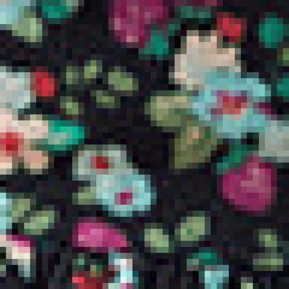 BTC Summer Berry Flair Dress Strawberry New