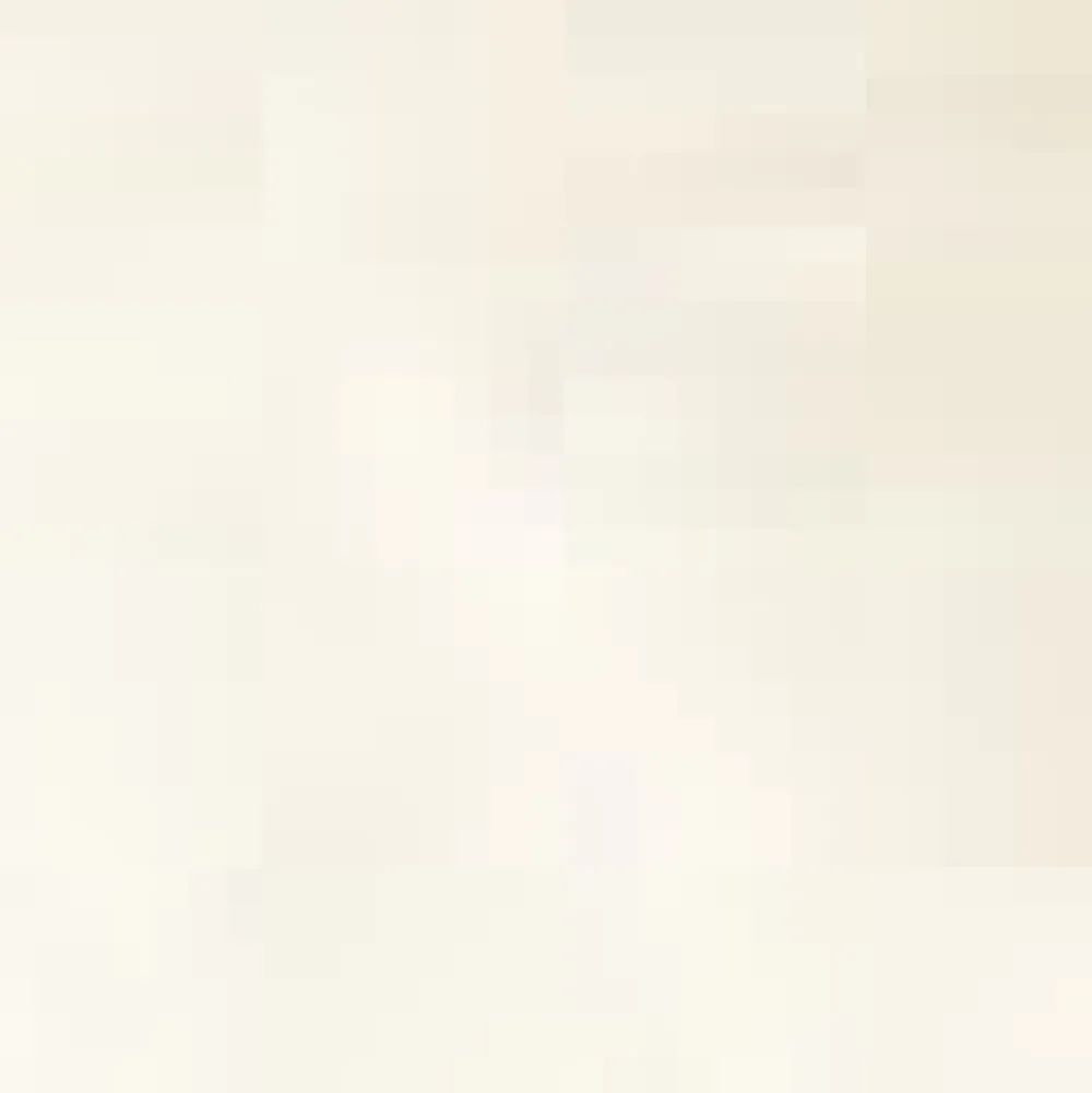 Sweet Stitched Collar V-Neck Top White Hot