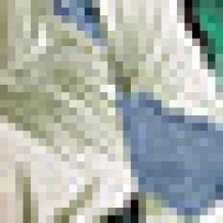 The Boardwalk Belle Shorts Palm Royal Outlet