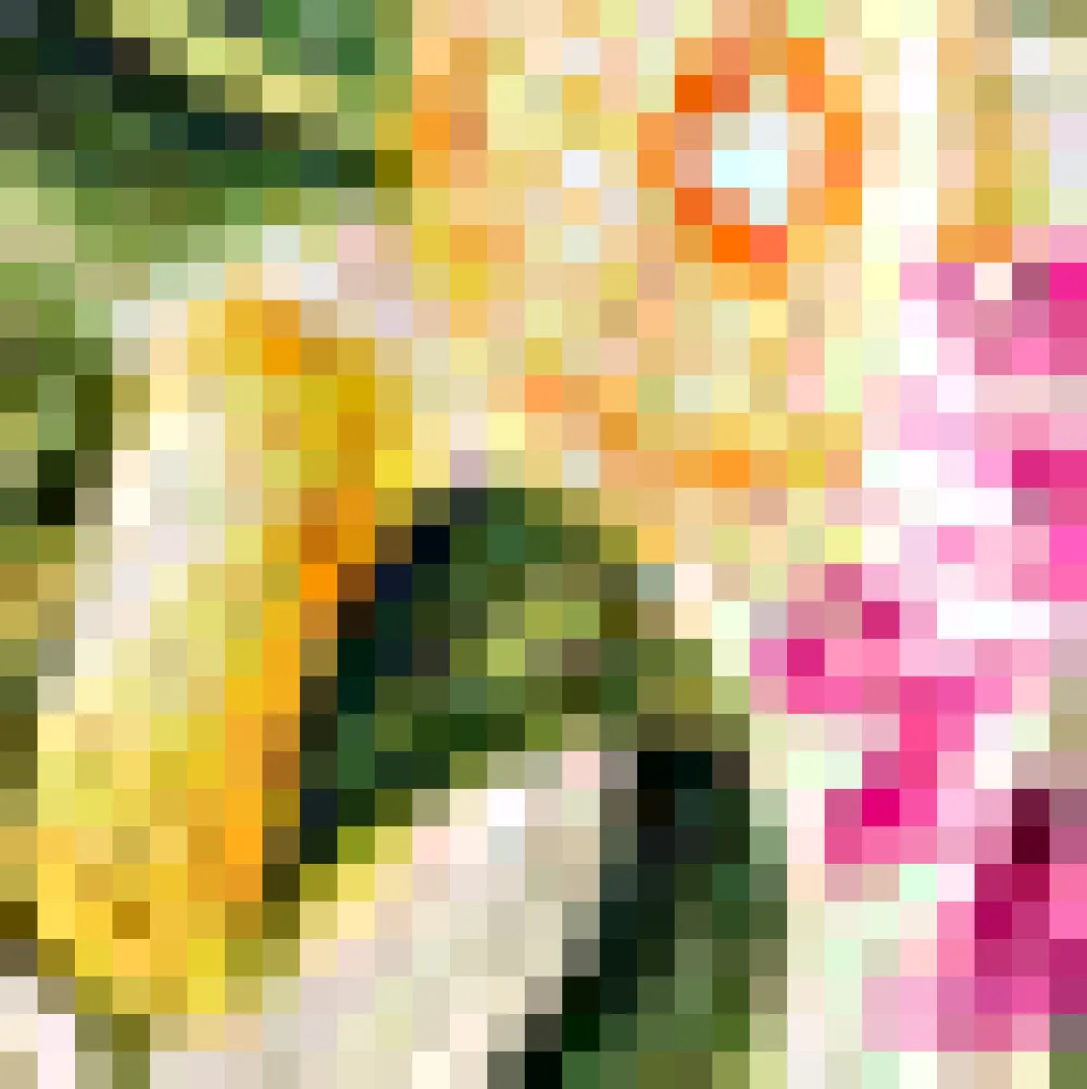 The Citrus Grove Getaway Dress Citrus Floral Discount