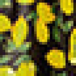 BTC The ade Stand Stunner Dress Lemon Hot