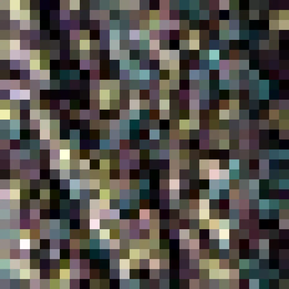 The Orchard Waltz Midi Dress Black Floral