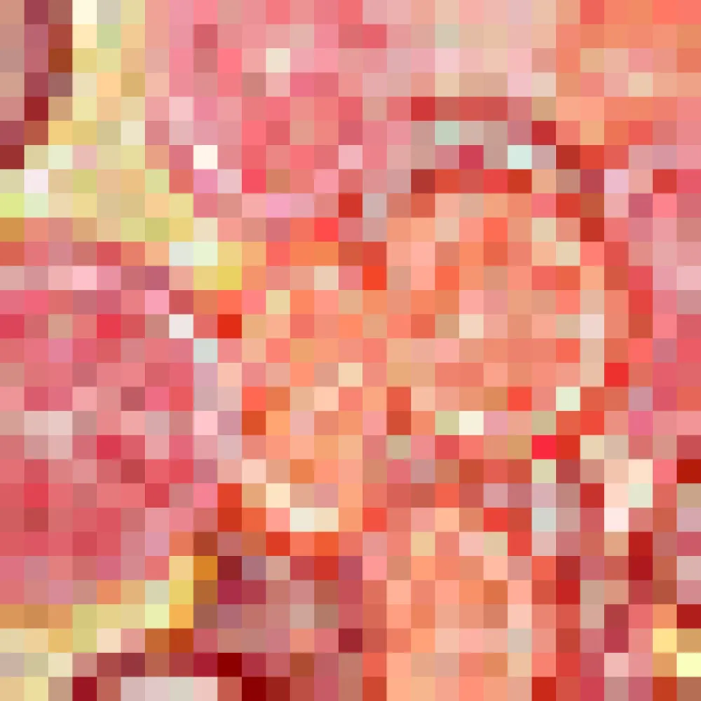 The Peggy Sue Shirt Dress Ruby Juicy Sale