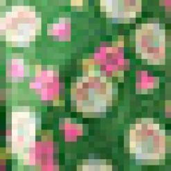 The Ruby June Scholarly Dress Juicy & Judgy Hot