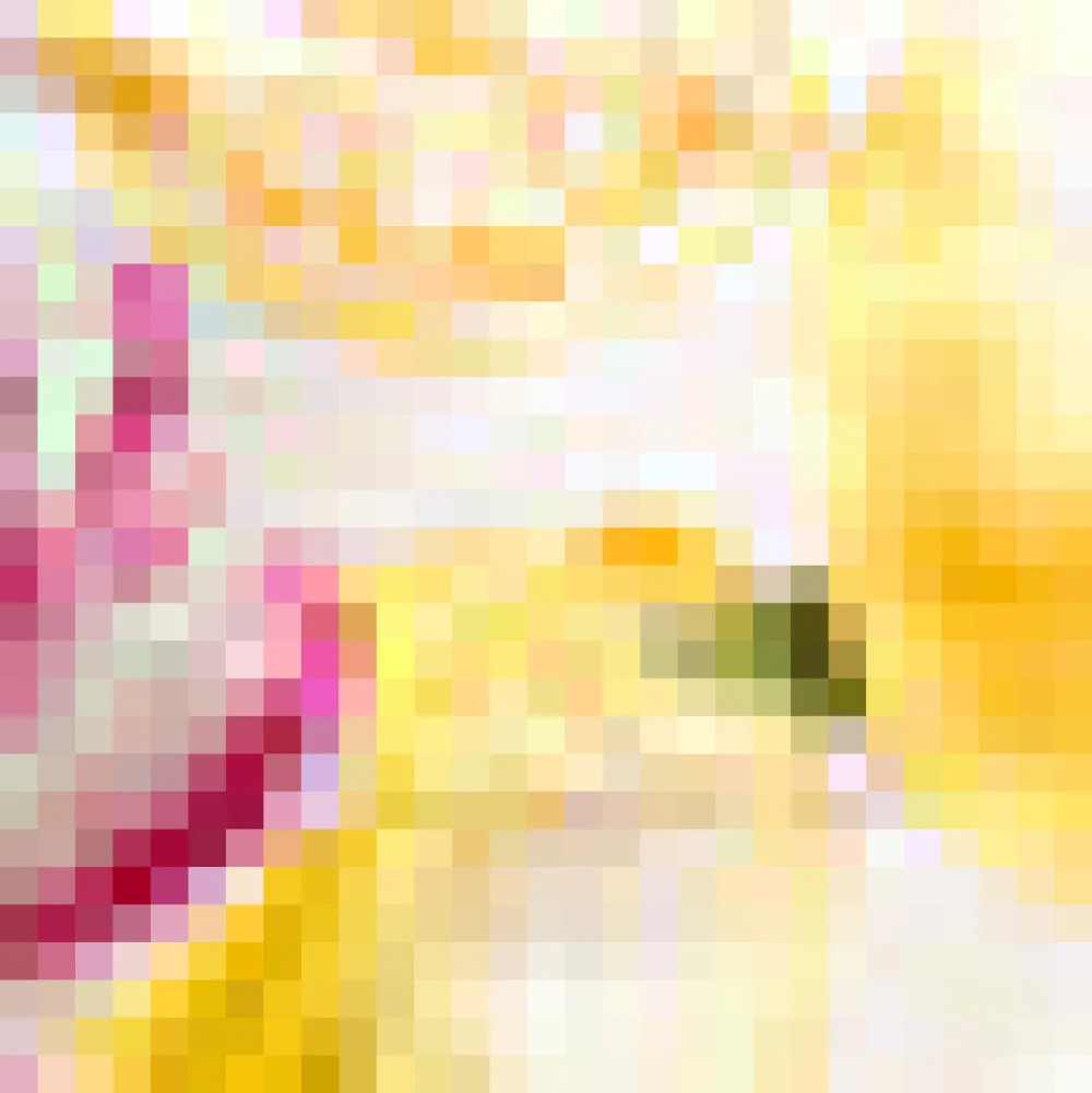 The Zest Is Yet to Come Top Lemon Floral