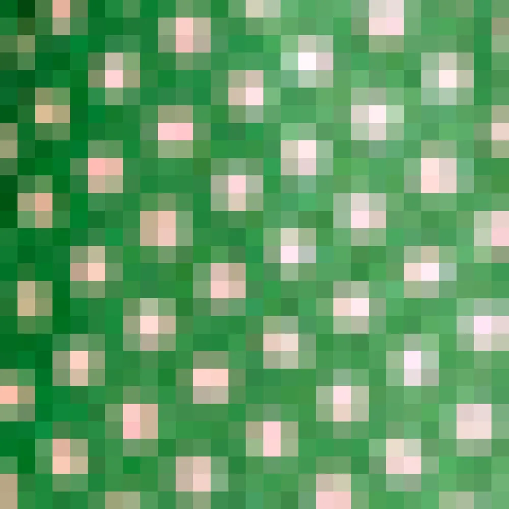 BTC Whispers of Sweetness Dress Green Dot Sale