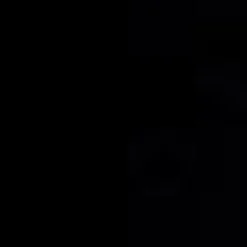 BTC Whistling Winds Leggings Bewitching Black Best